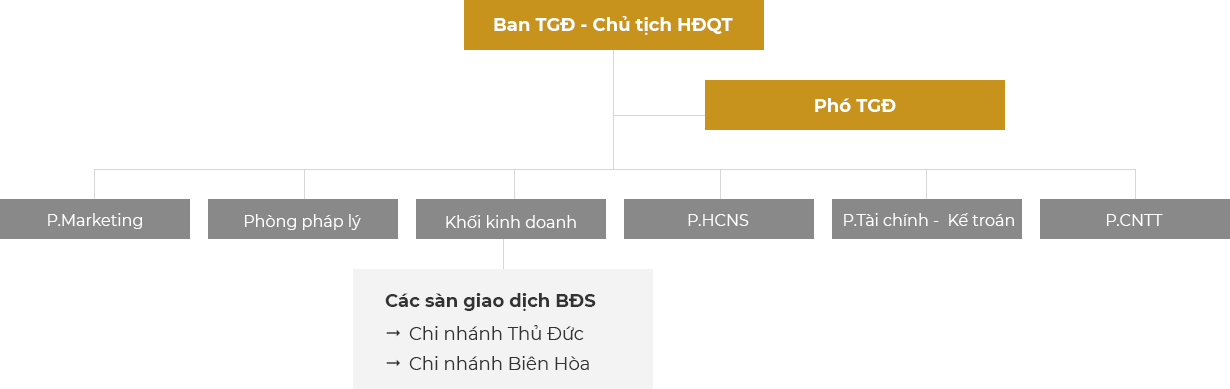 Cơ cấu tổ chức